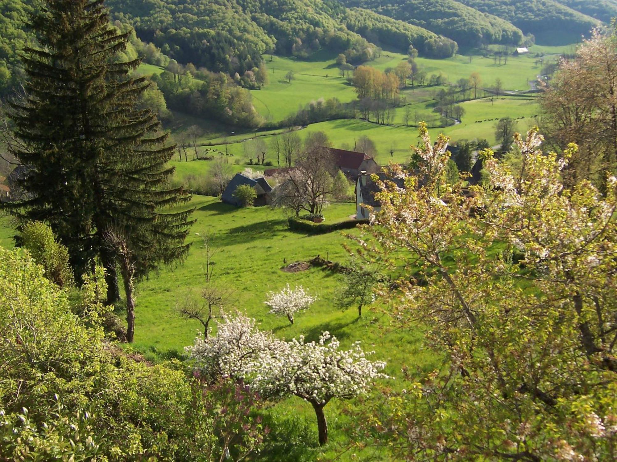Auberge Hotel De Tournemire - Cantal Экстерьер фото